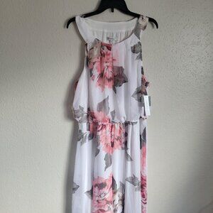 Robbie Bee Woman's Dress